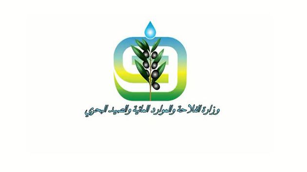 وزارة الفلاحة تنفي رفض تونس لهبة تتمثّل في مليون نعجة