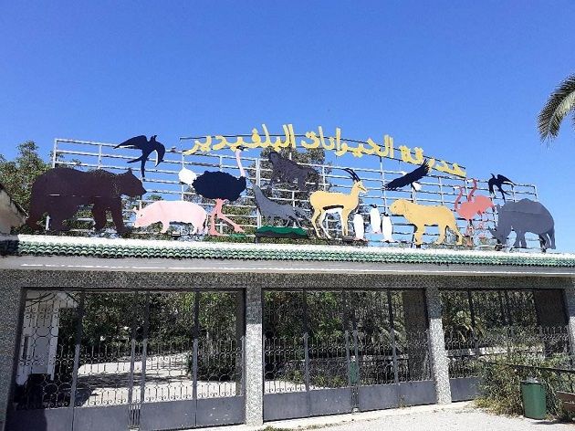 موعد إعادة فتح حديقة الحيوانات بالبلفيدير في حلّة جديدة بعد أشغال الصيانة