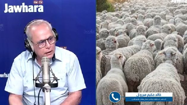 النائب خالد حكيم مبروكي يوضح حقيقة 'الهبة الإيطالية بمليون نعجة' 