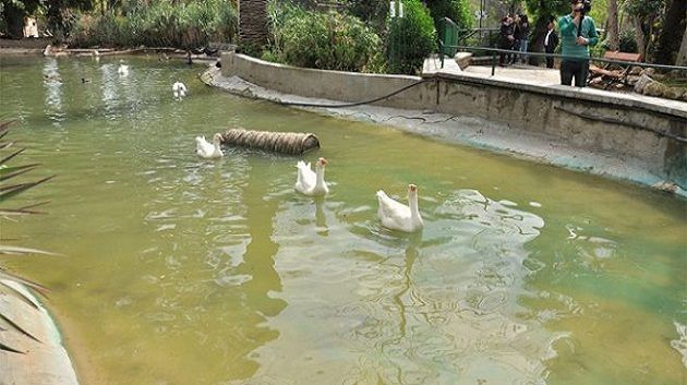 بصفة استثنائية: الدخول مجاني إلى حديقة البلفيدير يوميْ السبت والأحد