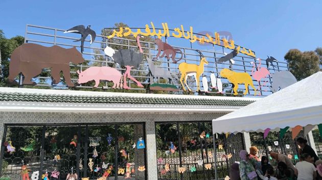 حديقة البلفيدير تفتح أبوابها مجدّدا في حلّة جديدة (صور)