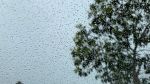 اليوم: ظهور خلايا رعدية مصحوبة بأمطار بهذه المناطق