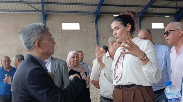 شركة صينية لصناعة كابلات السيارات تعتزم الانتصاب في ولاية الكاف