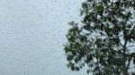 اليوم: ظهور خلايا رعدية مصحوبة بأمطار بهذه المناطق