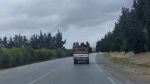 إثر حادث المزونة: رابطة حقوق الإنسان تدعو إلى اتخاذ إجراءات عاجلة
