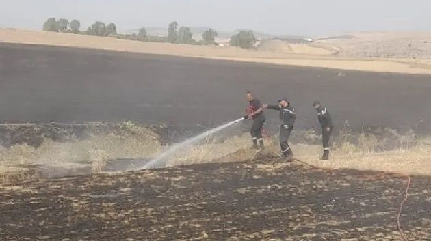 جندوبة: احتراق حوالي هكتار من القمح الصلب