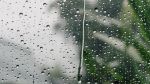 بعد ظهر اليوم.. أمطار أحيانا غزيرة في هذه الولايات