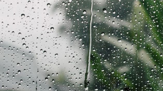 بعد ظهر اليوم.. أمطار أحيانا غزيرة في هذه الولايات