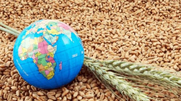 غياب سلاسل تبريد فعّالة يؤدي إلى فقدان نحو 12% من إجمالي الغذاء العالمي