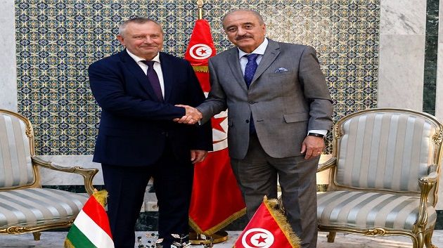 وزير الخارجية يستقبل سفير المجر بتونس بمناسبة انتهاء مهامه