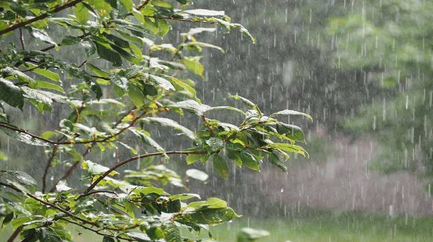 اليوم: أمطار رعدية وغزيرة بهذه المناطق