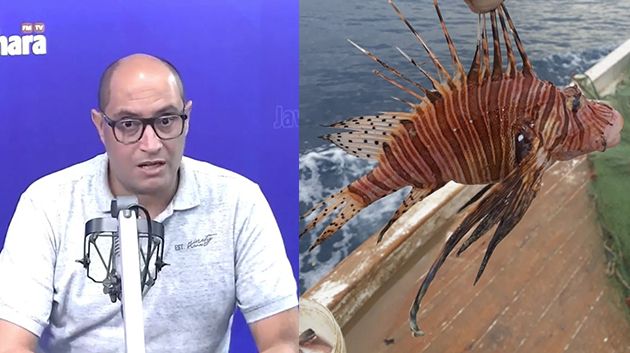 حمدي حشاد: 'نحن في حالة ترقب وتأهب لرصد سمكة الأسد السّامة'