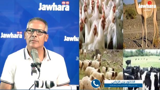 كاتب عام عمادة الأطبّاء البياطرة يُحذّر من 'الإجهاد الحراري' للحيوانات