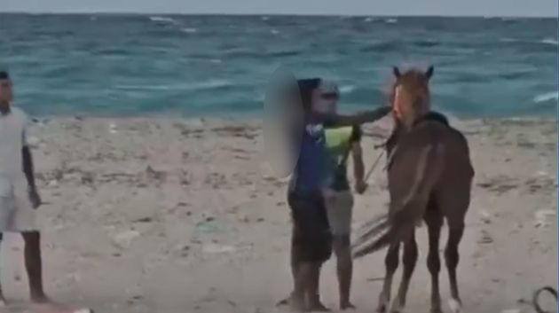 حادثة حصان جرجيس: تفاصيل جديدة