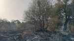 جندوبة : السيطرة على حريق بفرنانة