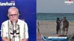 حادثة حصان جرجيس: تفاصيل جديدة