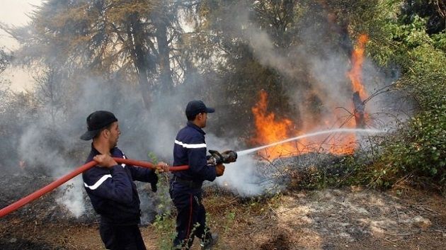 خلال 24 ساعة :الحماية المدنية تتدخّل لإطفاء 196 حريقا
