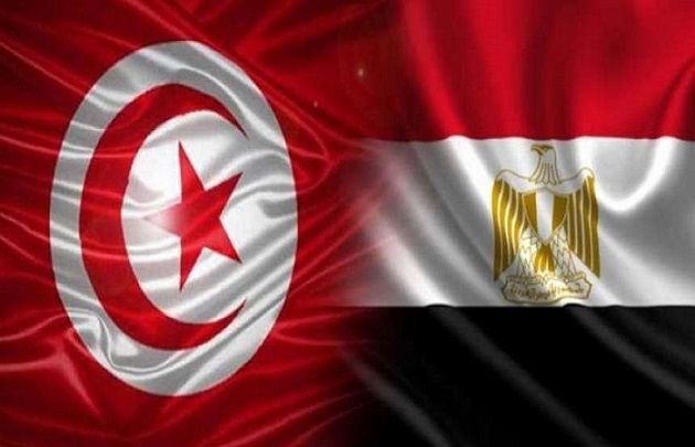 وزير الداخلية يؤكد مستوى التعاون الأمني المتميز وعمق العلاقات بين تونس ومصر