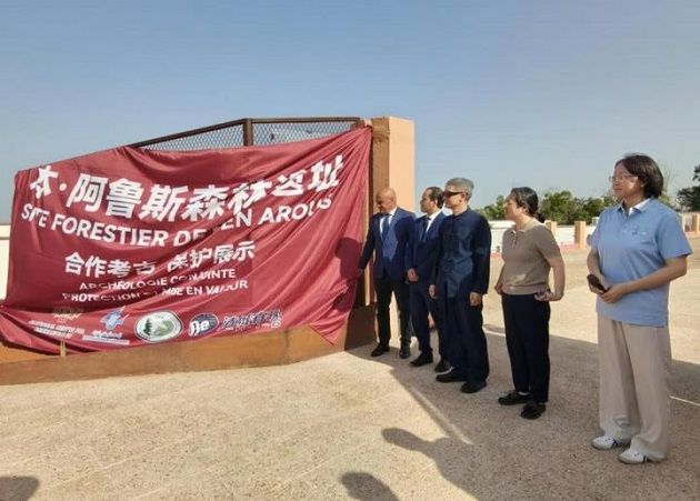 بالتعاون مع الصين.. افتتاح موقع أثري في بن عروس