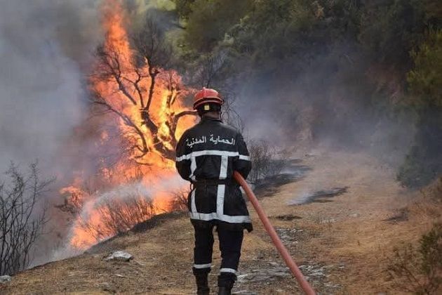 الجزائر تعلن عن وفيات ضحايا الحرائق الأخيرة في البلاد