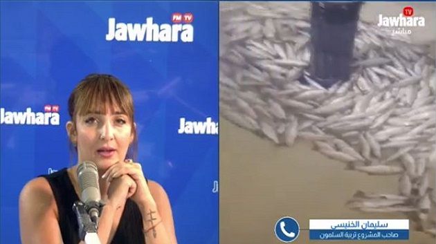 الأول من نوعه في تونس ..مشروع تربية السلمون يسجّل خسائر فادحة بسبب إنقطاع  الكهرباء (فيديو)