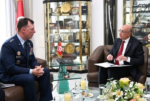 وزير الدفاع يبحث مع قائد القيادة العسكرية الأمريكية لأفريقيا سبل تطوير الشراكة بين الجانبين