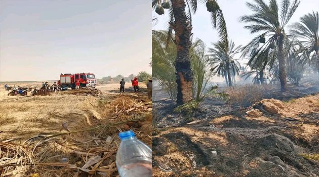 السيطرة على حريق بواحات السقدود بالرديف
