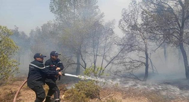 غارالدماء.. اندلاع حريق هائل في غابات جبل بوعديلة