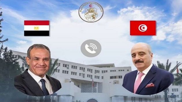 وزير الخارجية يتلقى مكالمة هاتفية من نظيره المصري