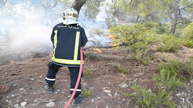 تاجروين: السيطرة على 3 حرائق 