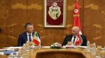 وضع برامج للتعاون وتبادل الخبرات محور لقاء وزير النقل بنائب وزير النقل الإيطالي