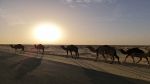 درجات الحرارة المتوقعة الليلة