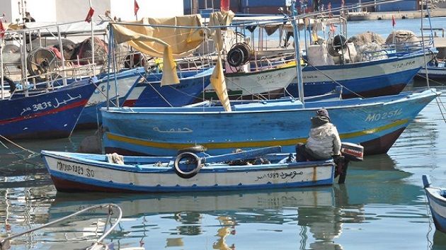 وزارة الفلاحة : إسناد تراخيص صنع وتوريد مراكب الصيد يخضع لشروط فنيّة وإطار قانوني محدد
