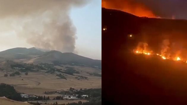 حريق بجبل سيدي أحمد في نفزة: المستجدات (فيديو)