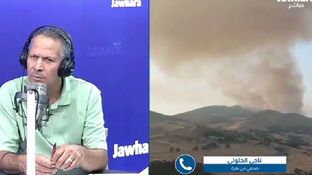 حريق بجبل سيدي أحمد في نفزة: المستجدات