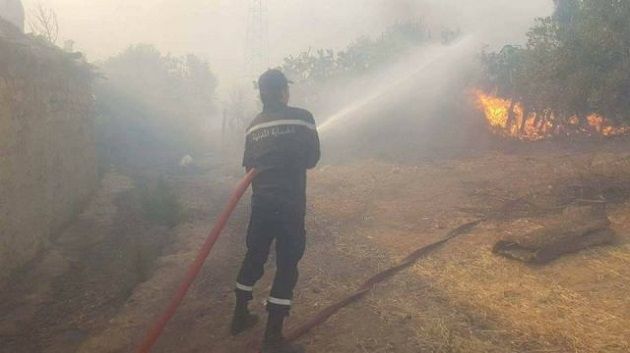 سليانة: تواصل الجهود للسيطرة على حريق جبل المرقب بالكريب