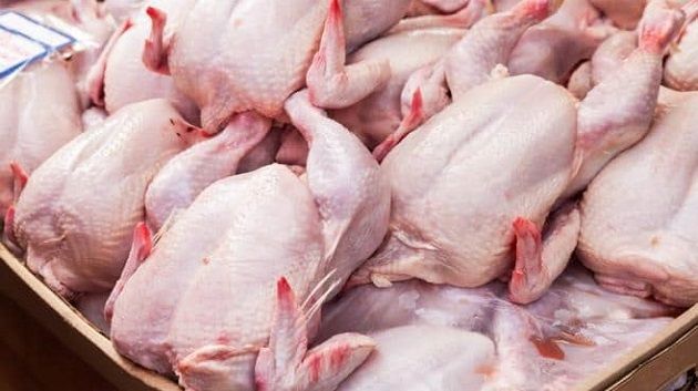 النفزاوي: كل سعر يتجاوز 8500د للكلغ الواحد من الدواجن يعتبر تجاوزا للقانون