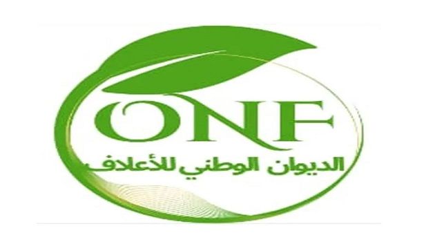 بداية من الغد.. تحديد أسعار بيع حبوب الذرة 