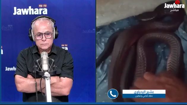فيديو لشخص يُربّي 'كوبرا' في منزله: ما القصّة؟ 