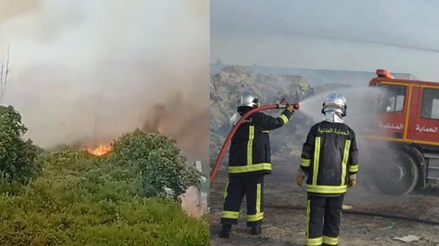السيطرة على حريق سجنان.. وأضرار خفيفة طالت الغطاء الغابي (فيديو)