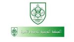 المجلس الأعلى للتربية: منظمة التربية والأسرة تدعو لأن يكون الاصلاح شاملا