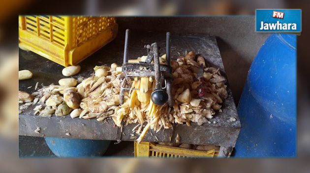 جندوبة : حجز 3 أطنان من البطاطا الفاسدة