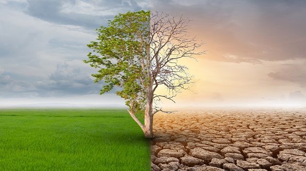 باحثة بمعهد الفلاحة: التقنيات الحديثة أدوات أساسية لرصد مخاطر التصحر