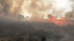 الجزائر: 67 حريقاً مستعراً في 16 ولاية