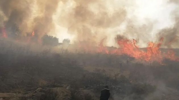 الجزائر: 67 حريقاً مستعراً في 16 ولاية