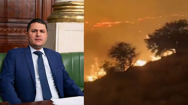 نائب عن جندوبة: 'لا صحّة لاحتراق منازل بالكامل جرّاء الحرائق الأخيرة' (فيديو)