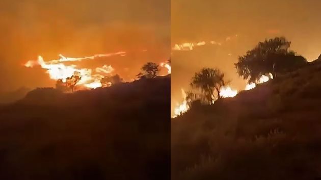 حريق جبل برقو يزحف نحو الوسلاتية: المستجدّات (فيديو)