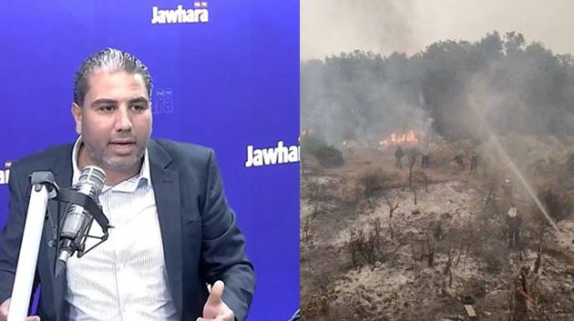 أ. أحمد الغربي: 'الحرق العمد للغابات قد يقود المتورّطين إلى السجن المؤبد' (فيديو)