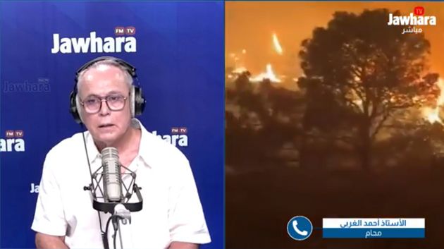 أ. أحمد الغربي: 'الحرق العمد للغابات قد يقود المتورّطين إلى السجن المؤبد'