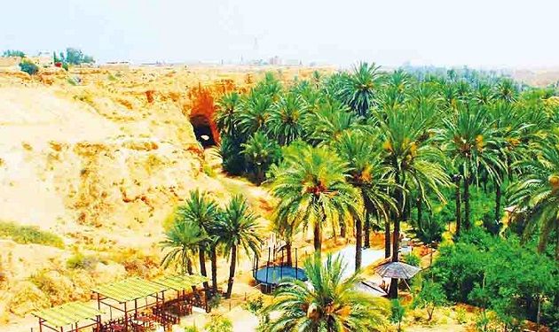إستعدادات مكثفة لموسم السياحة الصحراوية بتوزر